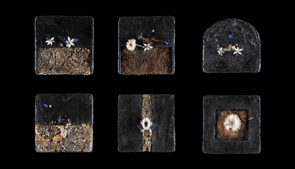 Intelligenze naturali, Evaristo Petrocchi e il respiro segreto della materia